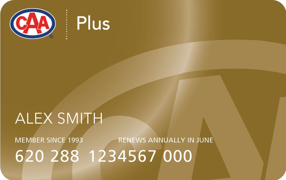 MemberCards-Rebrand-Aug24-Plus-1265C-Rounded.png