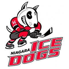 Niagara IceDogs Logo