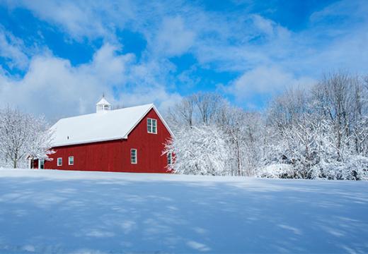 snow on barn