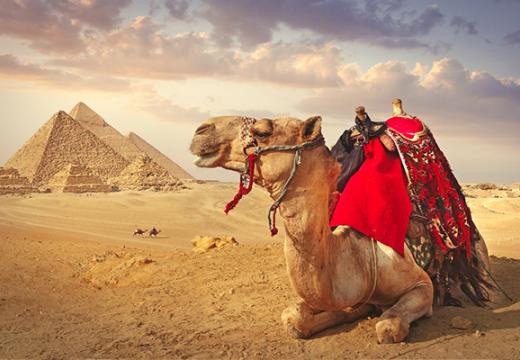 Wonders of Egypt and Jordan Experience