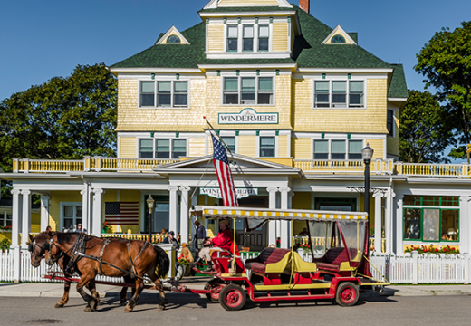 Horse drawn carriage