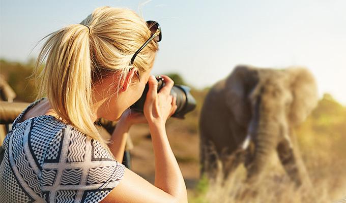 safari in africa 