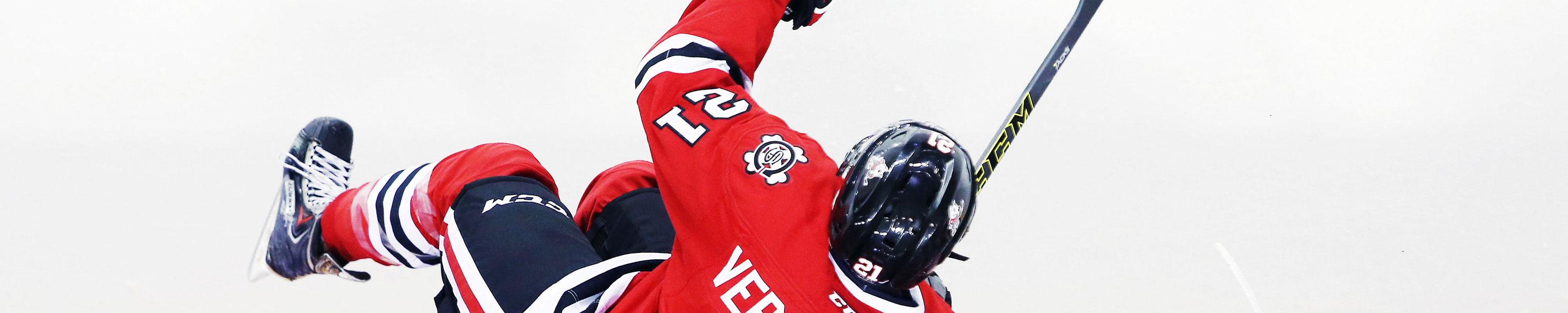 Niagara IceDogs 
