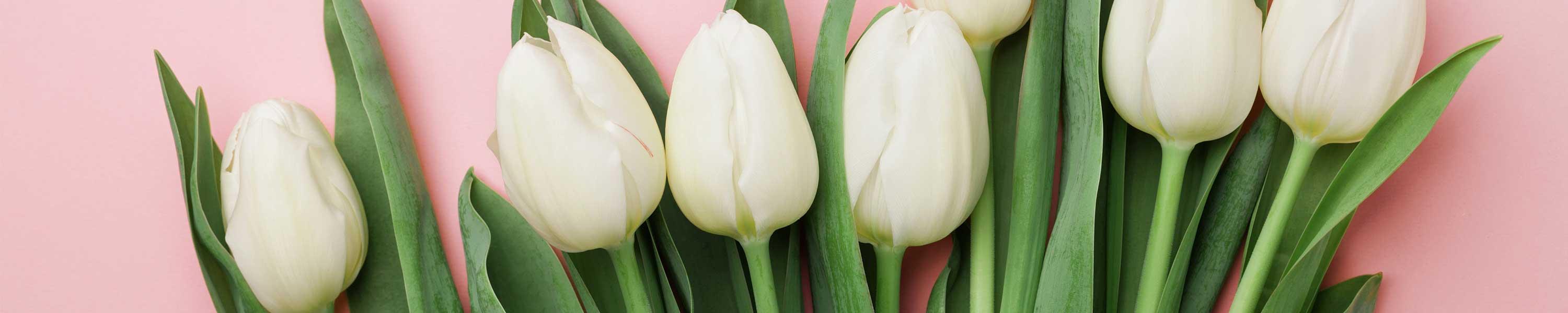 Spring Flowers 
