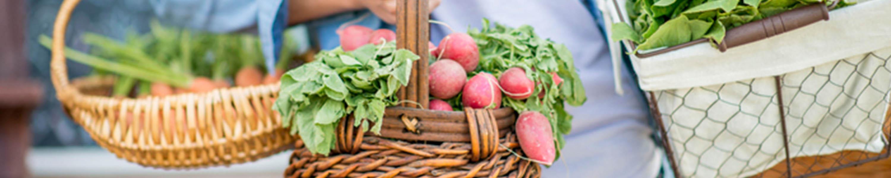 St. Jacobs Farmers Market