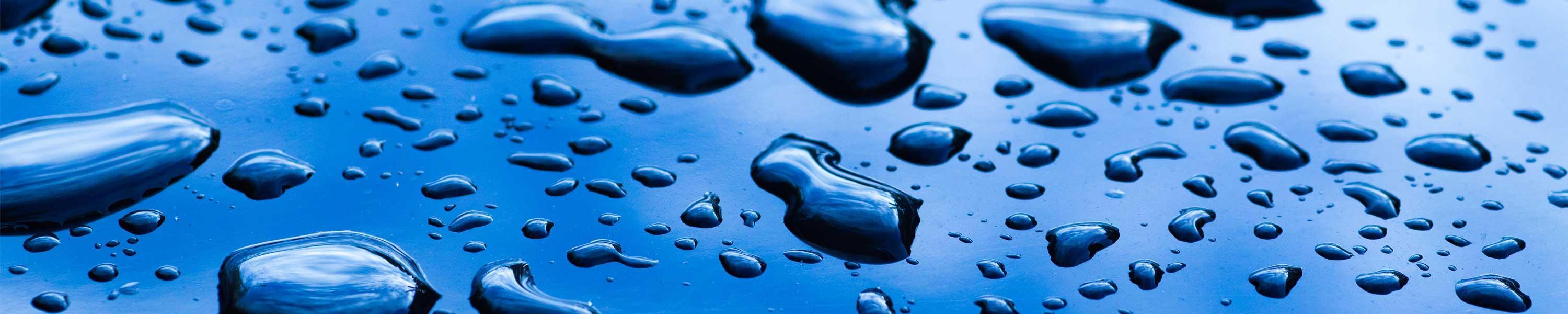 New Shine Car Care