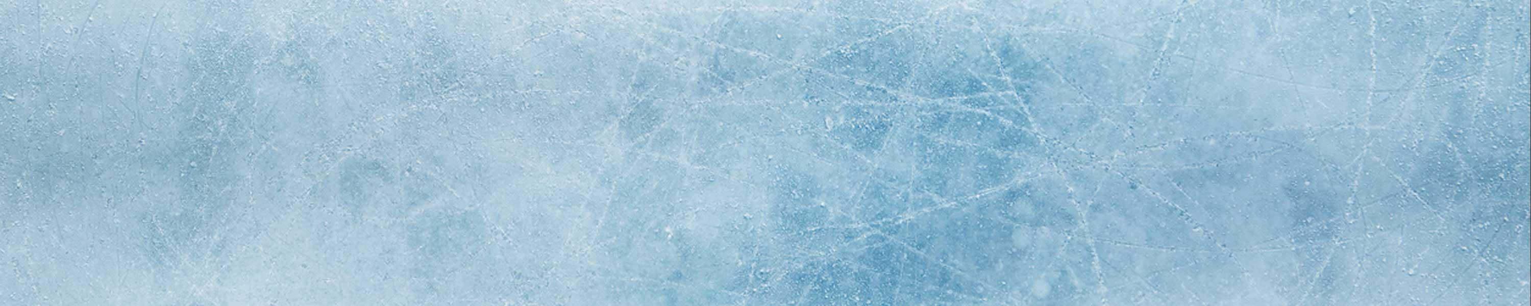 CAA Niagara Free Skate Day