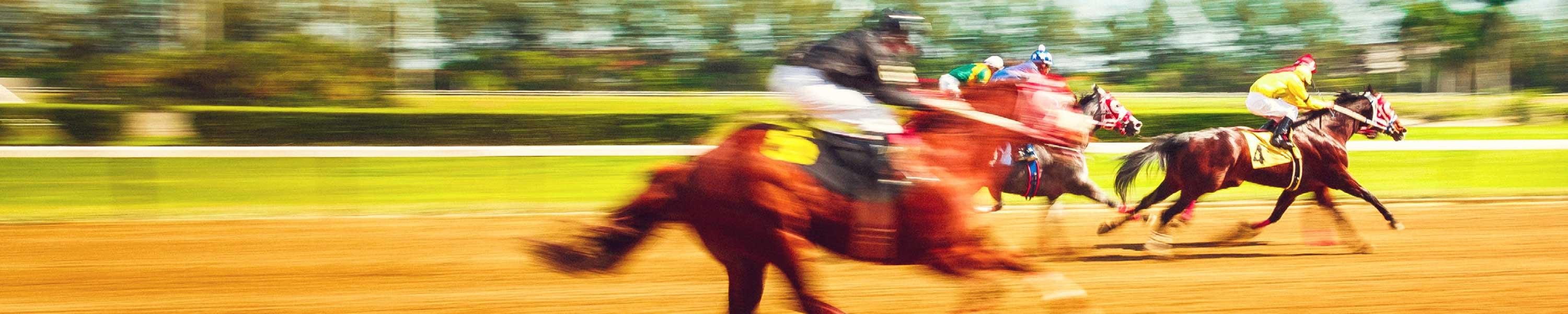 Three horses racing by at the Kentucky Derby