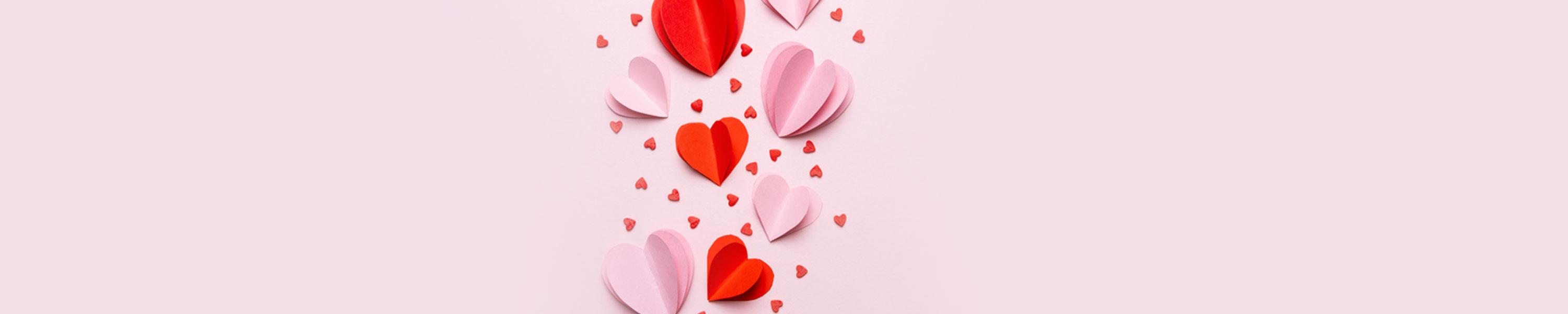 Meet Me There: PAL-entines Day