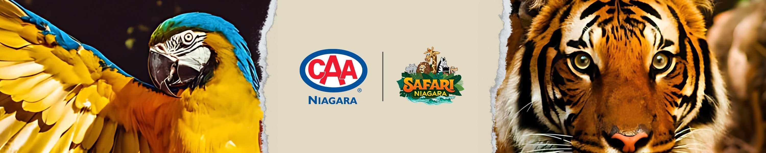 Image of a Macaw and a Tiger with CAA Niagara and Safari Niagara Logos