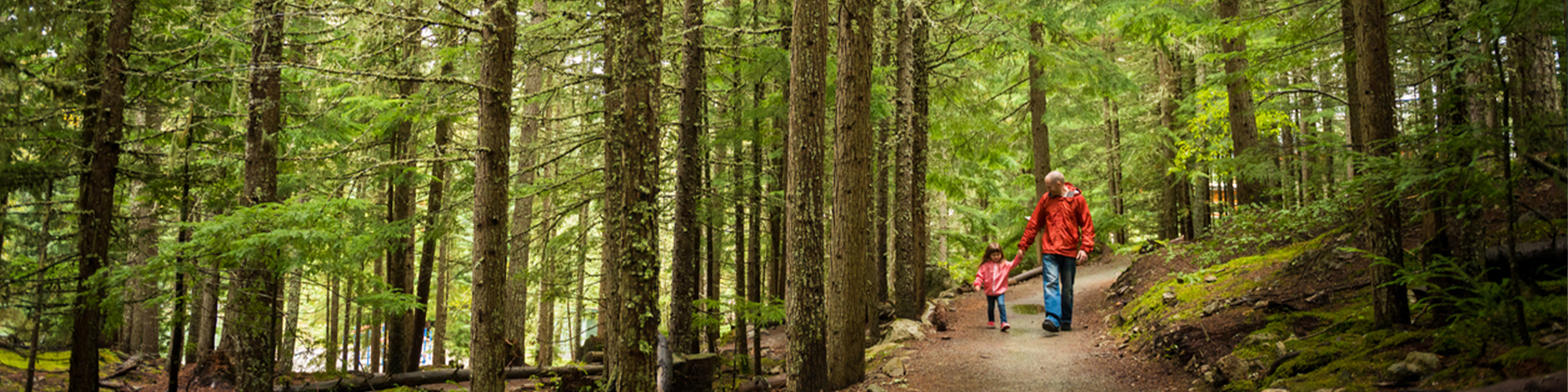 Family enjoying a hike in the forest.